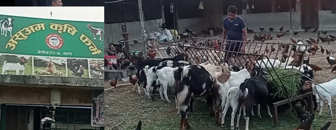 सीपवाला रुद्रप्रसादको `असुअम कृषि फर्म´