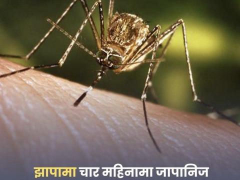 झापामा पछिल्लो चार महिनामा पाँच जनाको मृत्यु झापामा पछिल्लो चार महिनामा पाँच जनाको मृत्यु